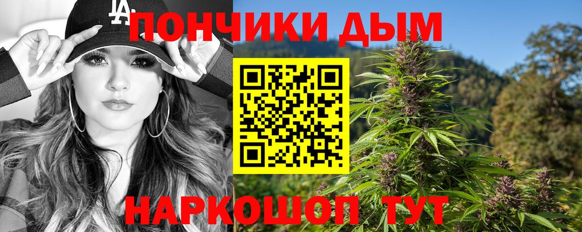 Каннабис сатива Павловский Посад